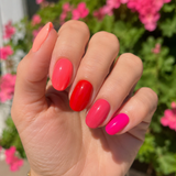 Hibiscus Heat | Tonal Set