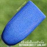 D1680 Blueberry Scone Dip Powder
