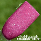 D1681 Berry Blast Dip Powder