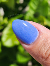 D1680 Blueberry Scone Dip Powder