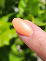 D1683 Cantaloupe Cream Dip Powder