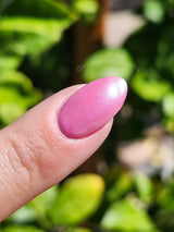 D1681 Berry Blast Dip Powder