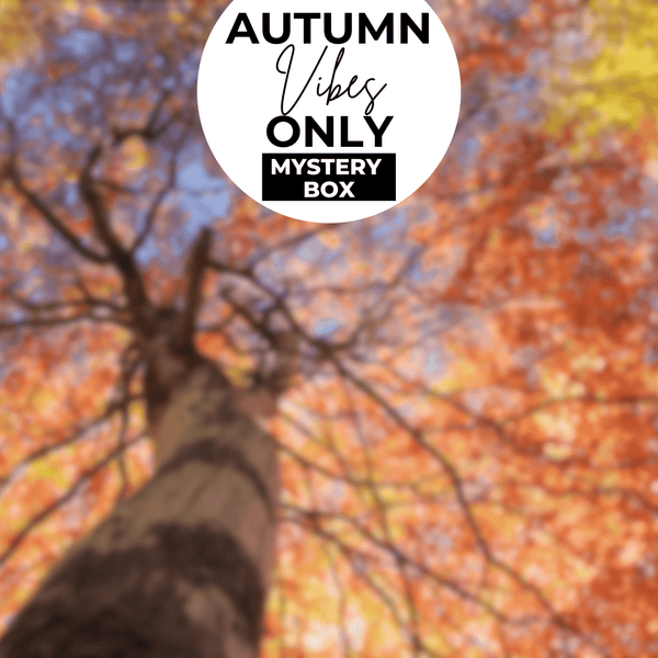 Dip Powder Autumn Vibes Only Dip Powder Mystery Box