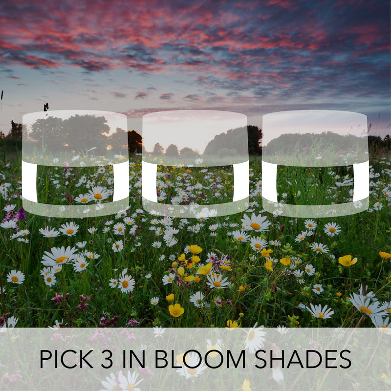 Dip Powder Pick 3/Pick 6 In Bloom Shades Bundle | Dip Powder 3