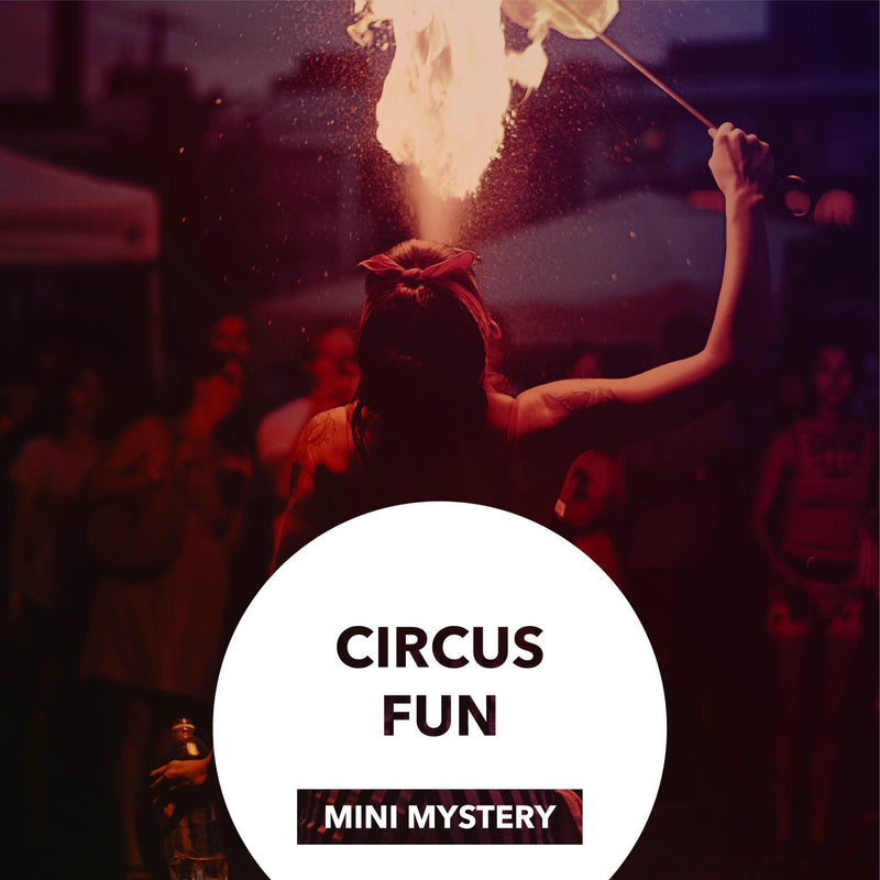Dip Powder Circus Fun Mini Mystery Box